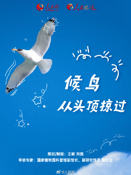 长知识了!9图解码候鸟迁徙 长知识了!9图解码候鸟迁徙