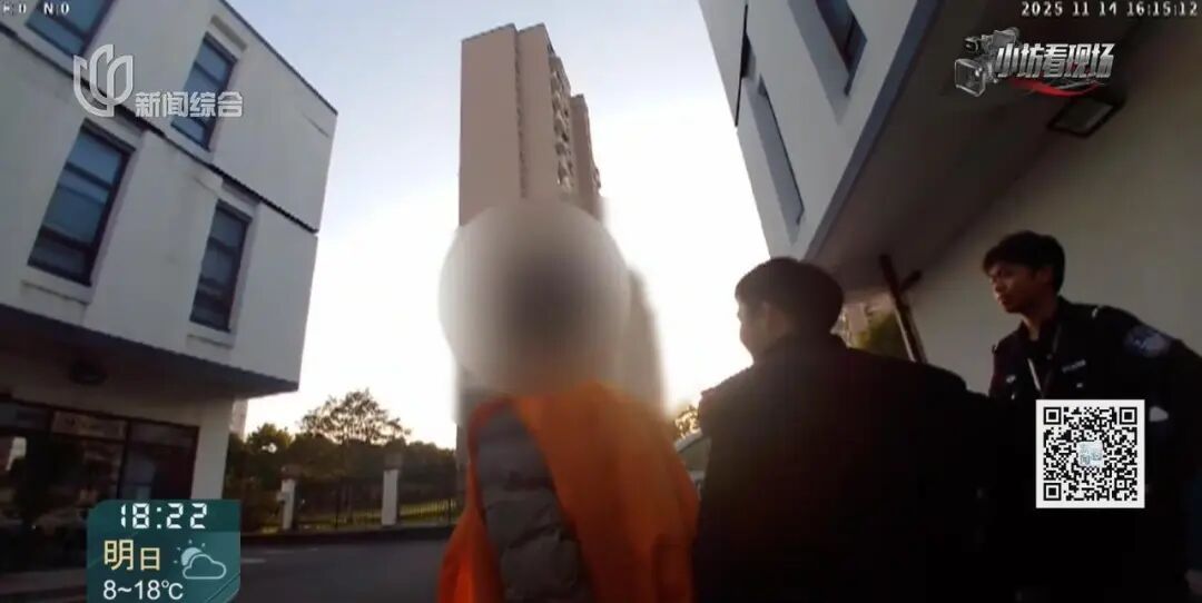 上海警方公布:洪某,年仅19岁,刑拘! 上海警方公布:洪某,年仅19岁,刑拘!
