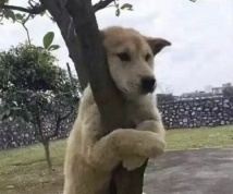 这款热门糖水有毒?网友:“吃完睡了14小时……” 这款热门糖水有毒?网友:“吃完睡了14小时……”