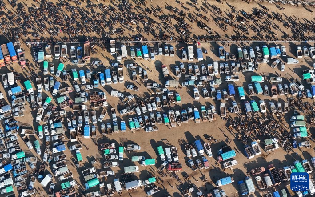 在新疆的巴扎 他们是连接牧场和市场的“纽带” 在新疆的巴扎 他们是连接牧场和市场的“纽带”