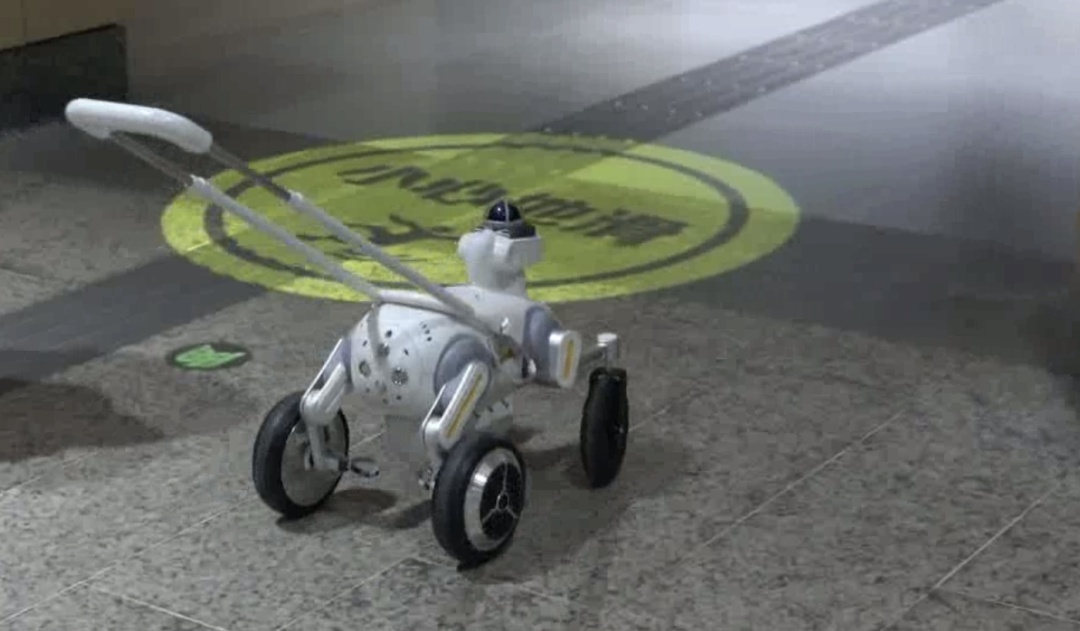 深圳地铁“智能导盲犬”上岗！有这些功能