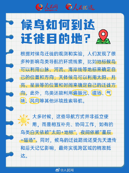 长知识了!9图解码候鸟迁徙 长知识了!9图解码候鸟迁徙
