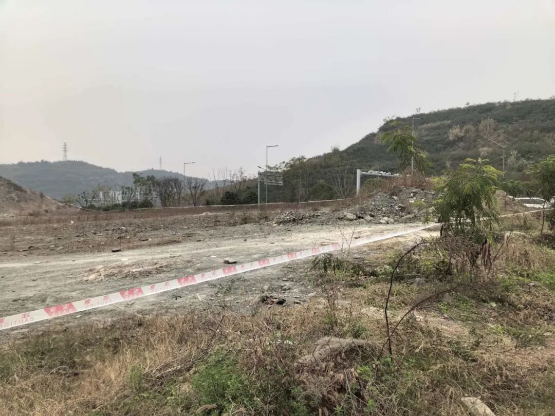 重庆中央公园有化石?官方回应:确有常见化石,请勿擅自开挖 重庆中央公园有化石?官方回应:确有常见化石,请勿擅自开挖