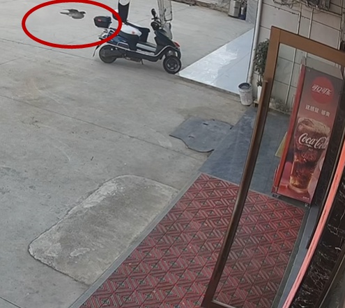 “鹰脸扫地”挽尊版——家人们,我刚用脸接了栋楼 “鹰脸扫地”挽尊版——家人们,我刚用脸接了栋楼