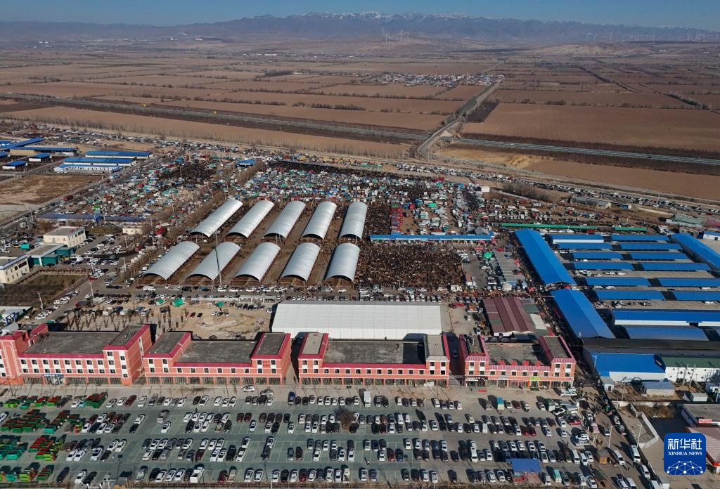 在新疆的巴扎 他们是连接牧场和市场的“纽带” 在新疆的巴扎 他们是连接牧场和市场的“纽带”