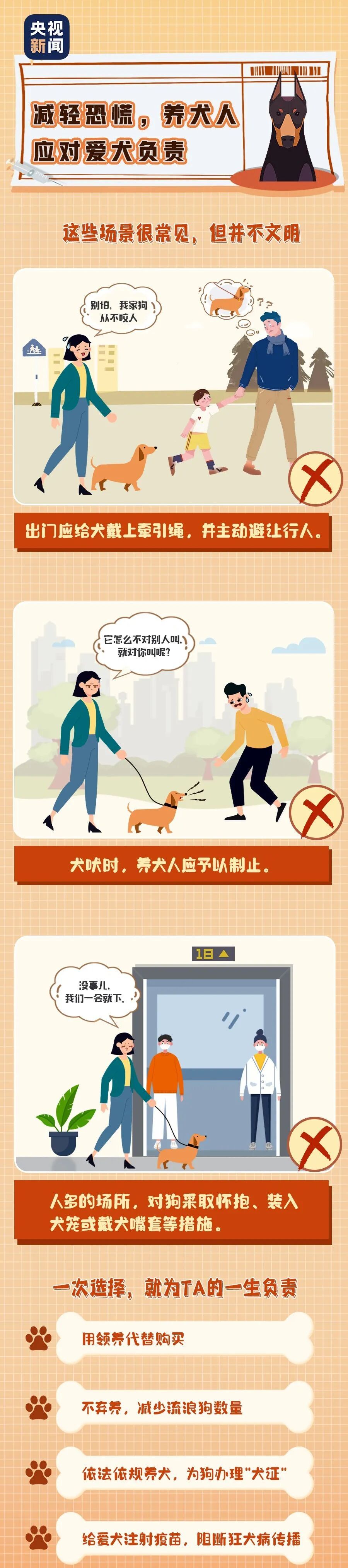 下月起,遛狗不拴绳,最高拘10天!罚1000元! 下月起,遛狗不拴绳,最高拘10天!罚1000元!