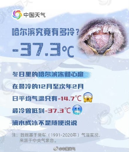 哈尔滨究竟能冷到什么程度?这些事千万不要轻易尝试! 哈尔滨究竟能冷到什么程度?这些事千万不要轻易尝试!