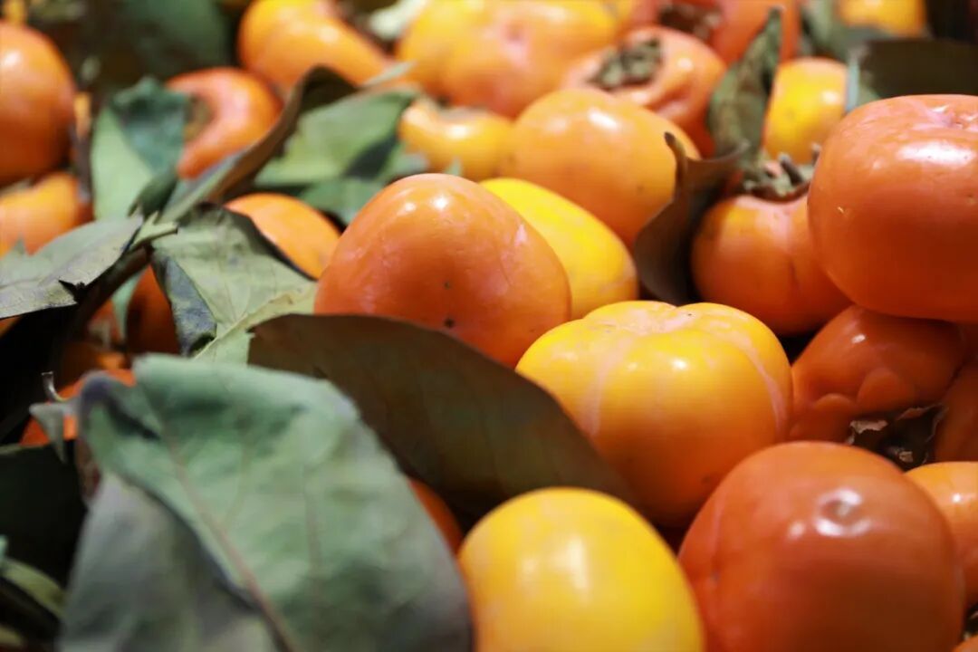 连吃10多颗山楂,胃里竟长出“巨大结石”!3种结石可能是你“吃”出来的 连吃10多颗山楂,胃里竟长出“巨大结石”!3种结石可能是你“吃”出来的