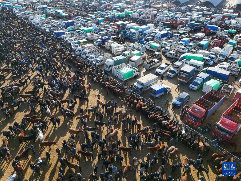 在新疆的巴扎 他们是连接牧场和市场的“纽带” 在新疆的巴扎 他们是连接牧场和市场的“纽带”