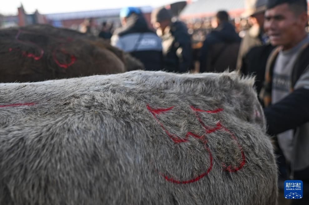 在新疆的巴扎 他们是连接牧场和市场的“纽带” 在新疆的巴扎 他们是连接牧场和市场的“纽带”