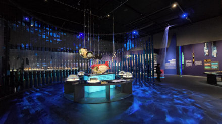 南海沉船最新发现首次进京 大运河博物馆免费看出水文物特展 南海沉船最新发现首次进京 大运河博物馆免费看出水文物特展