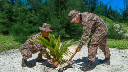 南沙赤瓜礁首次记录到海龟产卵 南沙赤瓜礁首次记录到海龟产卵