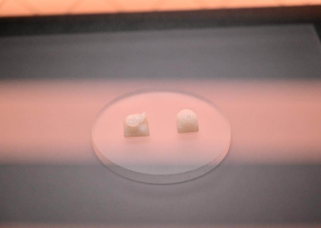 值得一看!海昏侯临展亮相北京城市副中心 值得一看!海昏侯临展亮相北京城市副中心