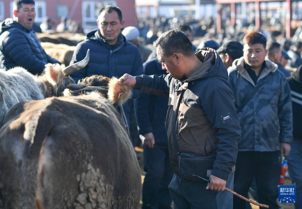 在新疆的巴扎 他们是连接牧场和市场的“纽带” 在新疆的巴扎 他们是连接牧场和市场的“纽带”