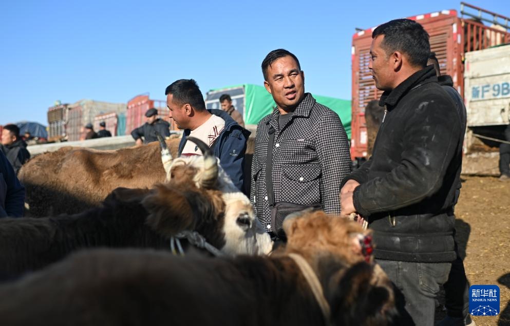 在新疆的巴扎 他们是连接牧场和市场的“纽带” 在新疆的巴扎 他们是连接牧场和市场的“纽带”