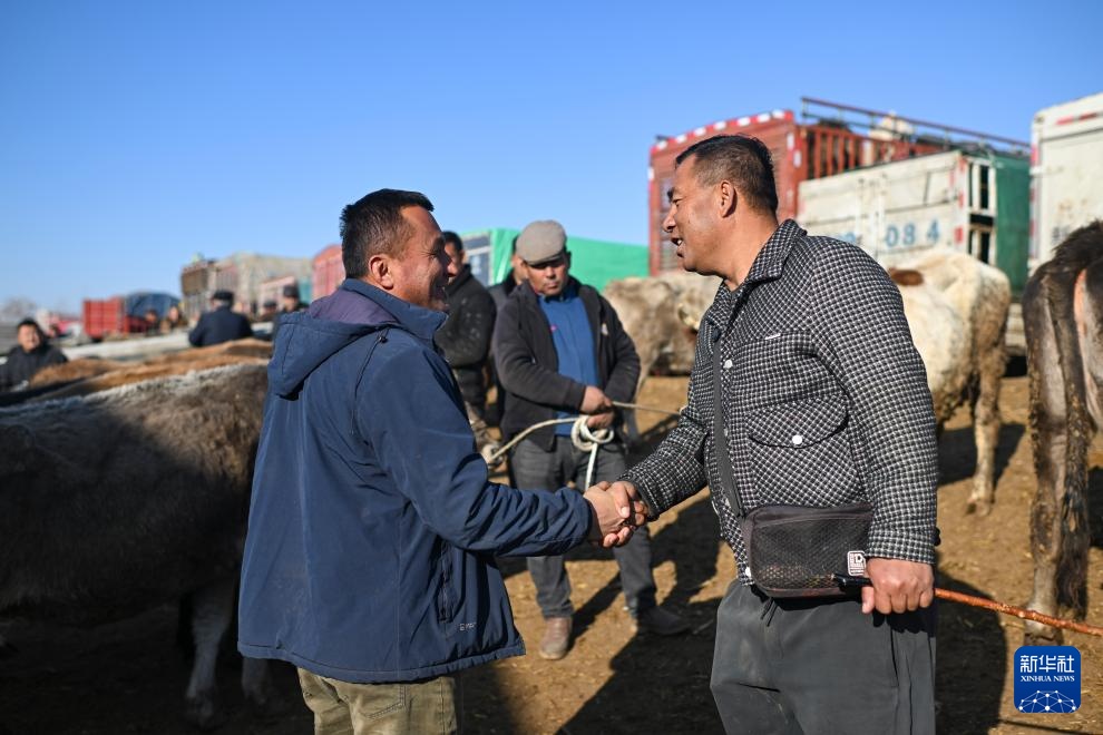 在新疆的巴扎 他们是连接牧场和市场的“纽带” 在新疆的巴扎 他们是连接牧场和市场的“纽带”