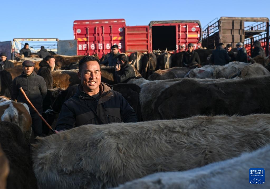 在新疆的巴扎 他们是连接牧场和市场的“纽带” 在新疆的巴扎 他们是连接牧场和市场的“纽带”