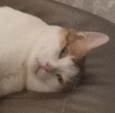 这款热门糖水有毒?网友:“吃完睡了14小时……” 这款热门糖水有毒?网友:“吃完睡了14小时……”