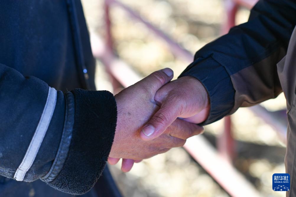 在新疆的巴扎 他们是连接牧场和市场的“纽带” 在新疆的巴扎 他们是连接牧场和市场的“纽带”