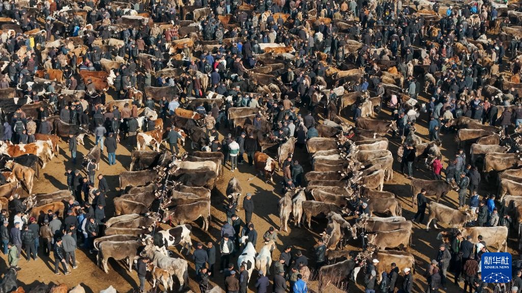 在新疆的巴扎 他们是连接牧场和市场的“纽带” 在新疆的巴扎 他们是连接牧场和市场的“纽带”