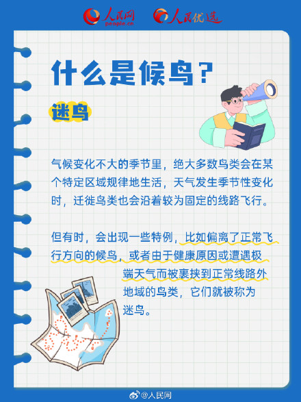 长知识了!9图解码候鸟迁徙 长知识了!9图解码候鸟迁徙