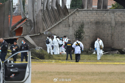 墨西哥一小型飞机坠毁致7人死亡 墨西哥一小型飞机坠毁致7人死亡