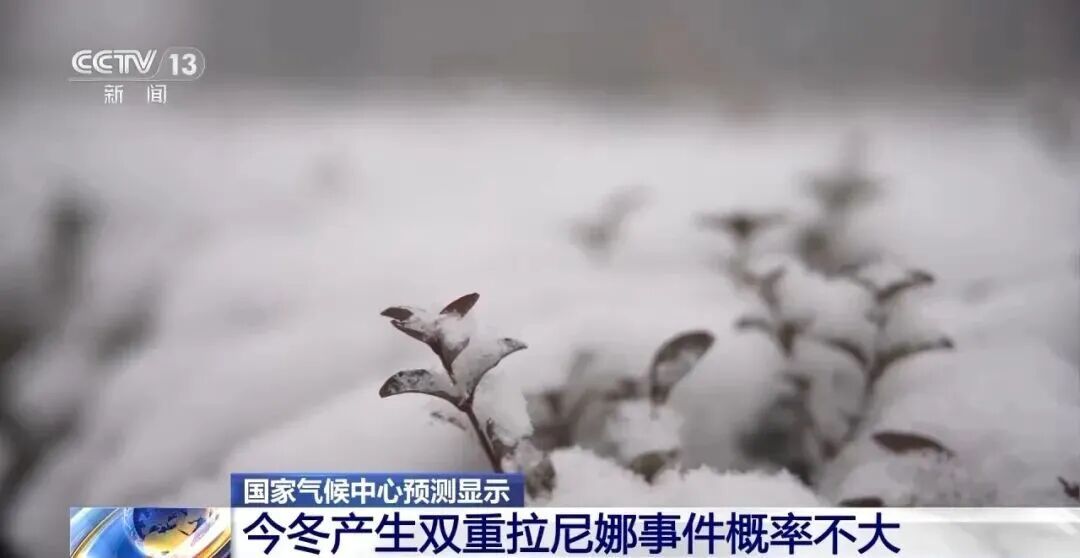 广东多地最低气温刷新,今冬是“超级冷冬”? 广东多地最低气温刷新,今冬是“超级冷冬”?