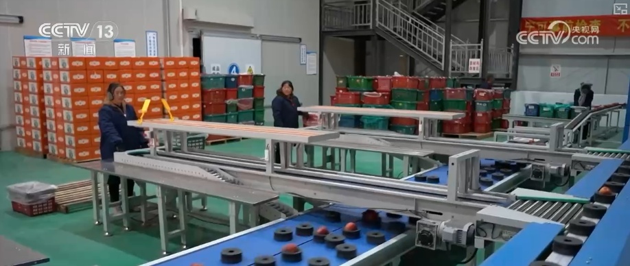 5.06万亿元，创新高！多视角观察 “数”看“中国制造”叩开多元外贸市场