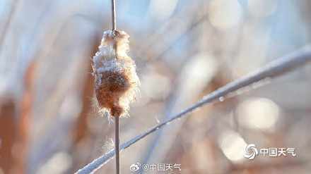 北京圆明园残雪映西山 北京圆明园残雪映西山