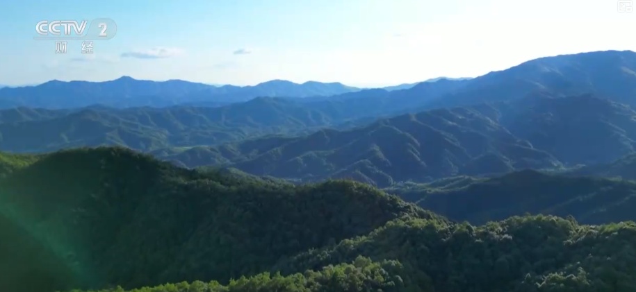 绿色资源变“绿色财富” 多元“借绿生金”路径助力百姓“点绿成金”“点海成金”