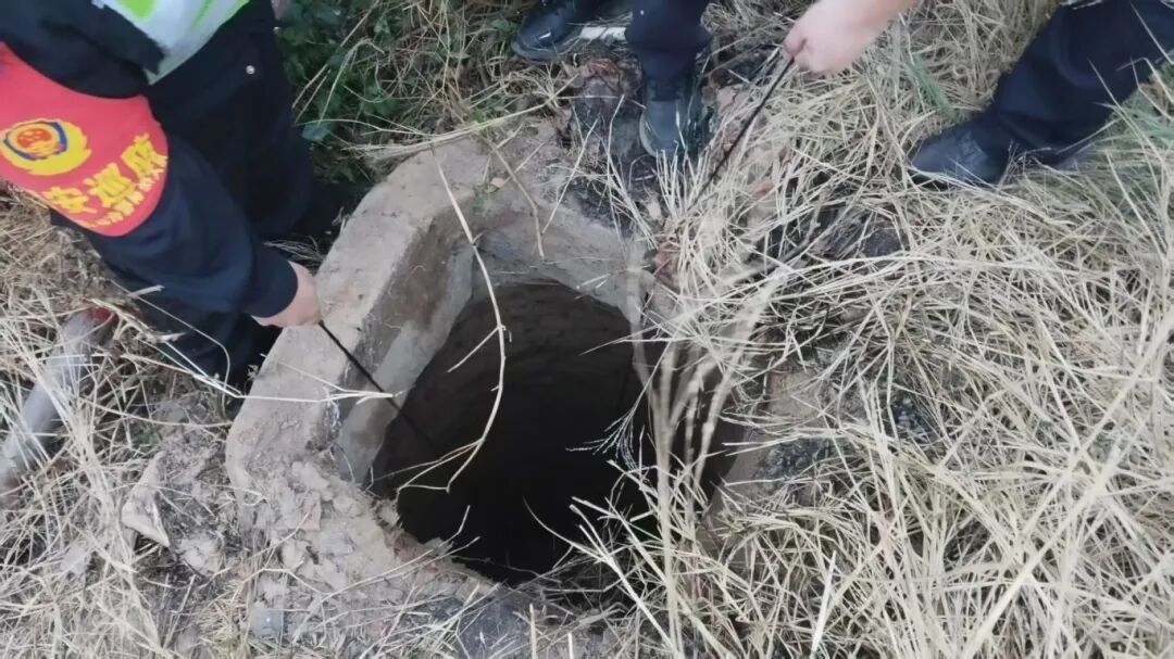 男孩坠入田间深井，民警3分钟极速救援！