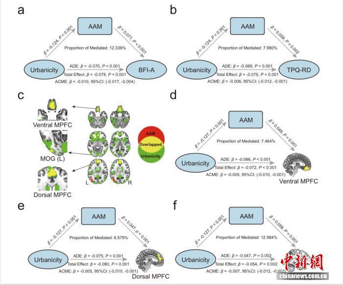 城市环境如何影响女性成长？中国团队发现或与青春期提前等有关