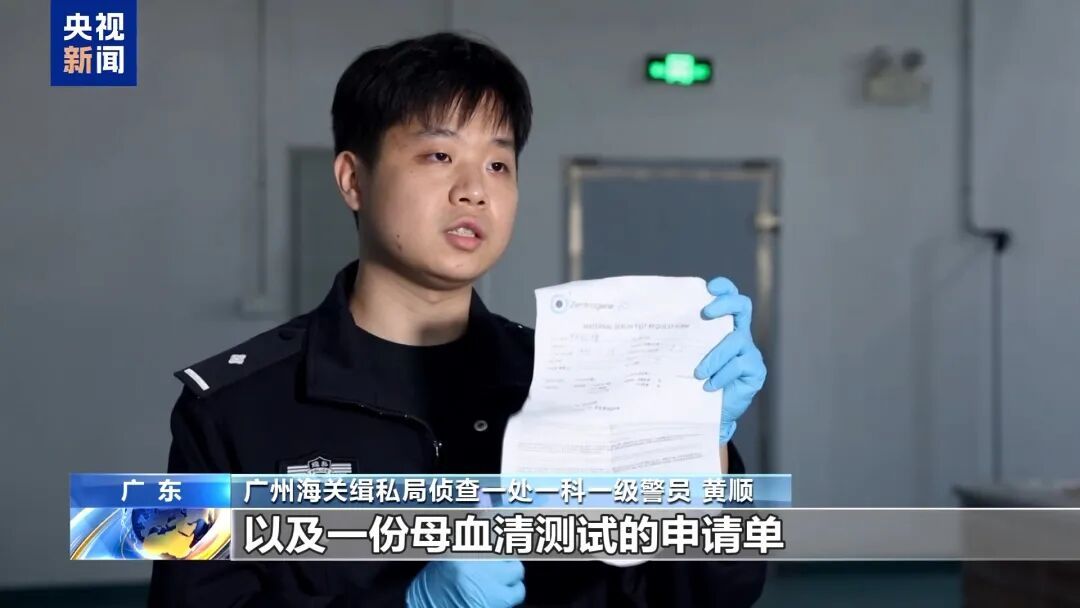 破获特大走私孕妇血样案！出境样本超10万人份，26人落网