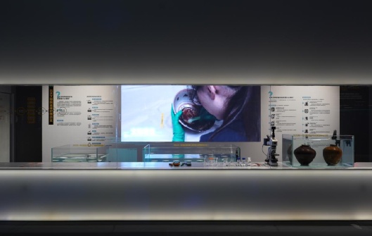 去北京这个新展！邂逅沉睡深海500年的宝藏——