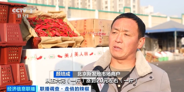 涨！涨！涨！辣椒价格飙涨！