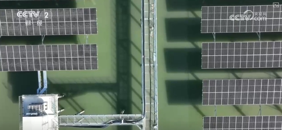 绿色资源变“绿色财富” 多元“借绿生金”路径助力百姓“点绿成金”“点海成金”