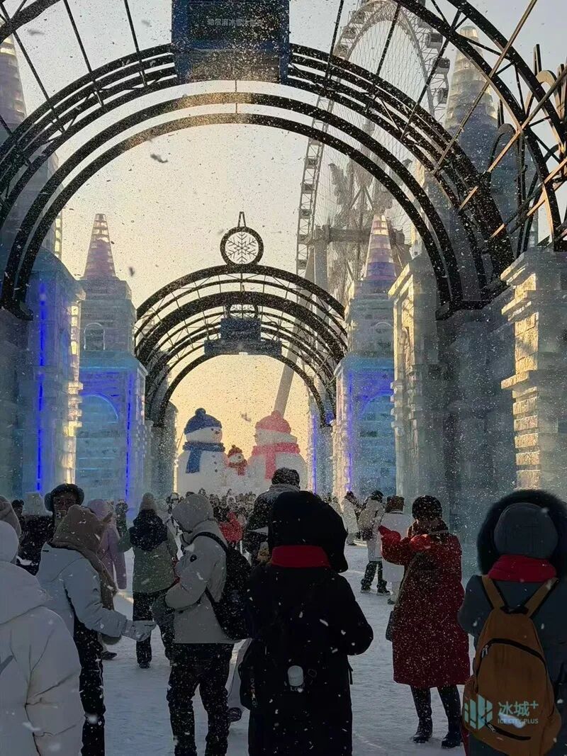 冰雪大世界就是宠客！要看下雪的哈尔滨？马上安排！