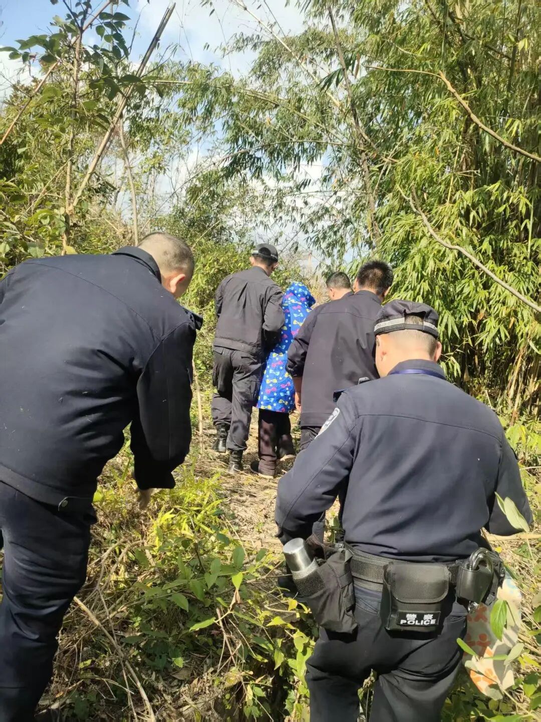 只因想要个手机，76岁大爷赌气躲进深山！靠一瓶白酒开启老年“荒野求生”