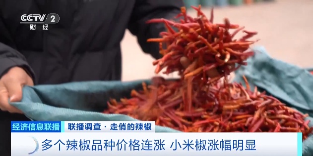 涨！涨！涨！辣椒价格飙涨！