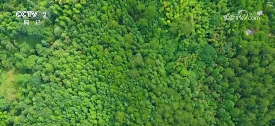 绿色资源变“绿色财富” 多元“借绿生金”路径助力百姓“点绿成金”“点海成金”