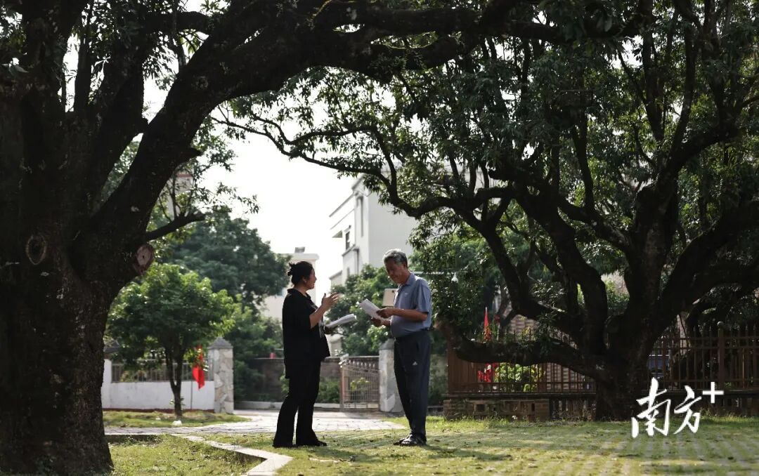 广东这个村火了！村民：当初只是为了“赚个鸡蛋钱”