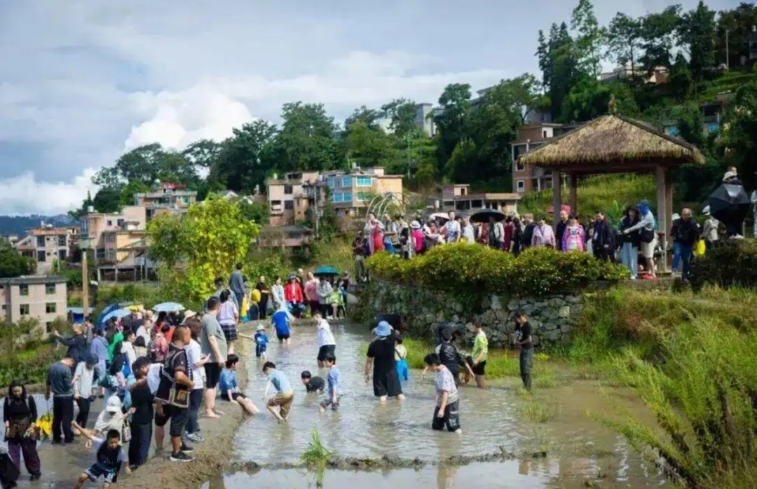 急急急！旅居这么热，现在加入能做什么？