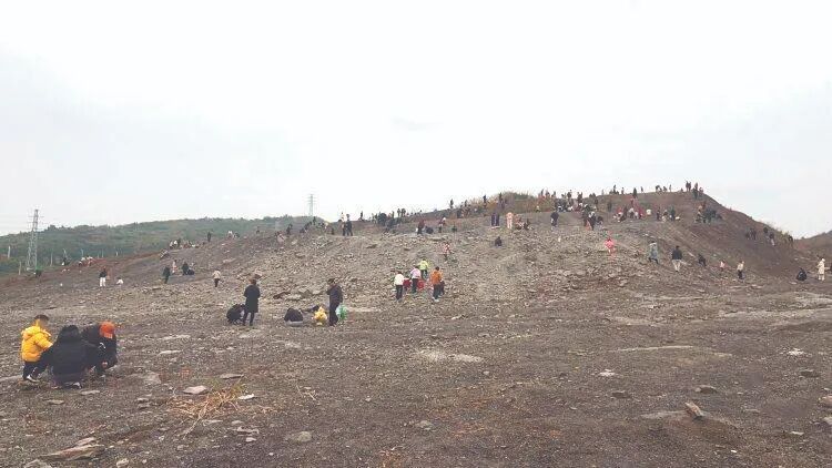 重庆中央公园的“化石”不能挖了！现场已拉起警戒线