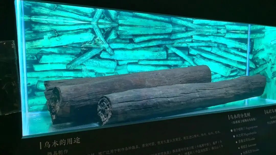 去北京这个新展！邂逅沉睡深海500年的宝藏——