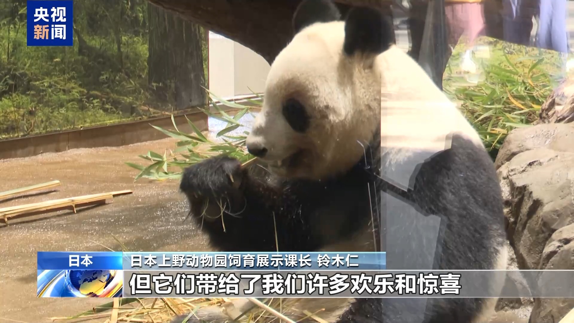 旅日大熊猫即将回国 日本民众排队送别