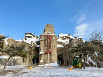 雪后的北京动物园~
