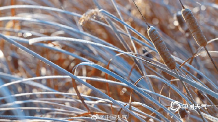 北京圆明园残雪映西山 北京圆明园残雪映西山