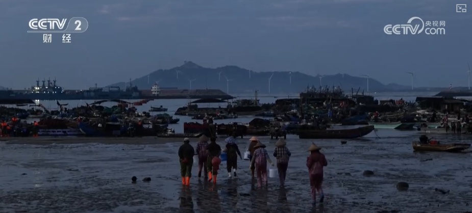 绿色资源变“绿色财富” 多元“借绿生金”路径助力百姓“点绿成金”“点海成金”