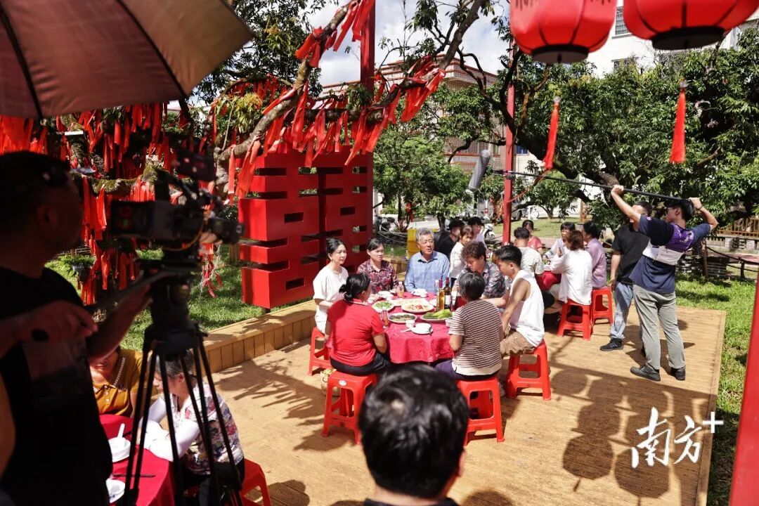 广东这个村火了！村民：当初只是为了“赚个鸡蛋钱”