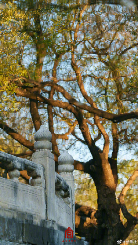 绝美！故宫美图怎么看都好看